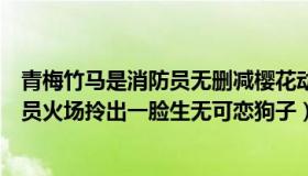 青梅竹马是消防员无删减樱花动漫（有点想法的老六：消防员火场拎出一脸生无可恋狗子）