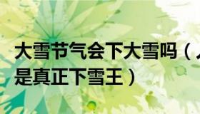 大雪节气会下大雪吗（人间真像：大雪节气谁是真正下雪王）