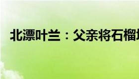 北漂叶兰：父亲将石榴埋沙里4个月等儿子