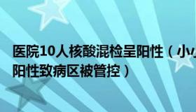 医院10人核酸混检呈阳性（小小辛去疾：医生院外核酸混检阳性致病区被管控）