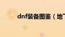 dnf装备图鉴（地下城装备图鉴）