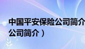 中国平安保险公司简介2019（中国平安保险公司简介）