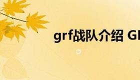 grf战队介绍 GRF战队成员