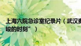 上海六院急诊室纪录片（武汉麦冬：上海急诊室迎来“最严峻的时刻”）