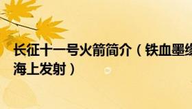 长征十一号火箭简介（铁血墨缘：长征十一号火箭首次近岸海上发射）