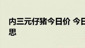 内三元仔猪今日价 今日猪价内三元是什么意思