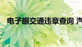 电子眼交通违章查询 汽车电子眼违章查询