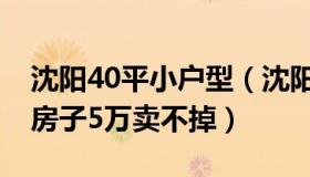 沈阳40平小户型（沈阳午评：东北小城45平房子5万卖不掉）