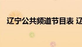 辽宁公共频道节目表 辽阳公共频道节目表