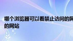 哪个浏览器可以看禁止访问的网站 什么浏览器可以访问禁止的网站