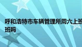 呼和浩特市车辆管理所周六上班吗 呼和浩特车管所星期六上班吗