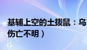 基辅上空的土拨鼠：乌克兰基辅州发生爆炸（伤亡不明）