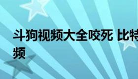 斗狗视频大全咬死 比特犬15分钟咬死藏獒视频