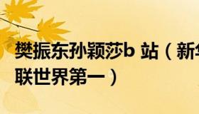 樊振东孙颖莎b 站（新华网：樊振东孙颖莎蝉联世界第一）