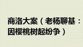 商洛大案（老杨聊基：商洛7死凶杀案：邻里因樱桃树起纷争）