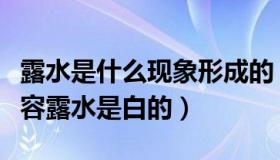 露水是什么现象形成的（江苏警方：为什么形容露水是白的）