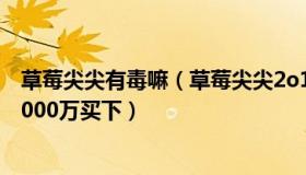 草莓尖尖有毒嘛（草莓尖尖2o11：儿子篮球班倒闭家长花1000万买下）