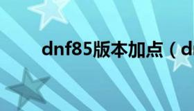 dnf85版本加点（dnf85武极加点）