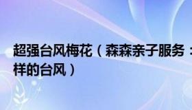 超强台风梅花（森森亲子服务：“梅花”四世究竟是个什么样的台风）