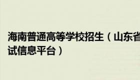 海南普通高等学校招生（山东省2021年普通高等学校招生考试信息平台）