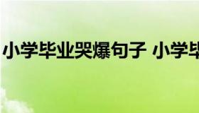 小学毕业哭爆句子 小学毕业哭爆句子给母校）