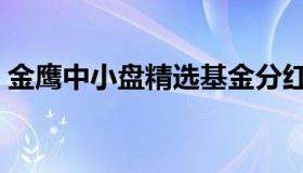 金鹰中小盘精选基金分红（金鹰中小盘精选）