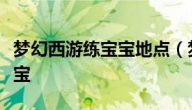 梦幻西游练宝宝地点（梦幻西游新区怎么练宝宝