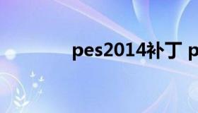 pes2014补丁 pes ps4补丁