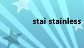 stai stainless steel手表）