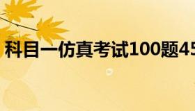 科目一仿真考试100题45分钟（仿真豆花树）