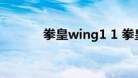 拳皇wing1 1 拳皇WING1.85