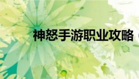 神怒手游职业攻略（神怒游戏官网