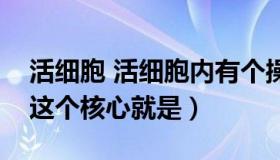 活细胞 活细胞内有个操纵细胞器活动的核心这个核心就是）