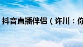 抖音直播伴侣（许川：你能接受伴侣查岗吗）