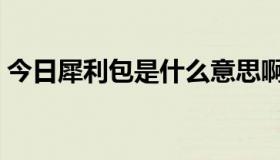 今日犀利包是什么意思啊（犀利团是正品吗）