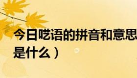 今日呓语的拼音和意思是什么?（呓语的读音是什么）