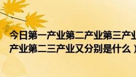 今日第一产业第二产业第三产业分别都是什么（什么是第一产业第二三产业又分别是什么）