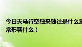 今日天马行空独来独往是什么意思（天马行空是什么意思通常形容什么）