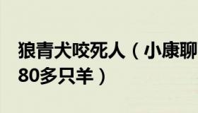 狼青犬咬死人（小康聊百态：4条狼青犬咬死80多只羊）