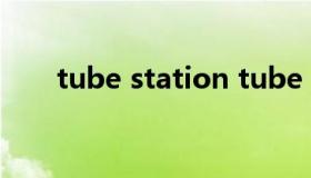 tube station tube station怎么读）