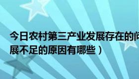 今日农村第三产业发展存在的问题和建议（我国第三产业发展不足的原因有哪些）