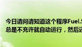 今日请问请知道这个程序Fuel.Service.exe是干什么的，它总是不充许就自动运行，然后还无法清楚