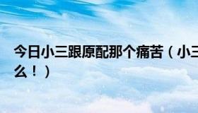 今日小三跟原配那个痛苦（小三和原配，男人更爱哪位为什么！）