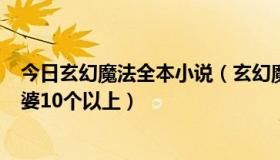 今日玄幻魔法全本小说（玄幻魔法电子书 要YY点的 主角老婆10个以上）