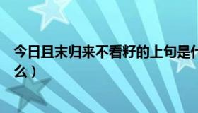 今日且末归来不看籽的上句是什么（黄蜂尾后针的上句是什么）