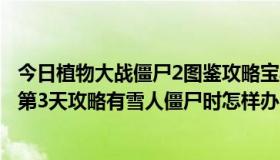 今日植物大战僵尸2图鉴攻略宝典（植物大战僵尸2坚不可摧第3天攻略有雪人僵尸时怎样办）