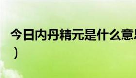 今日内丹精元是什么意思（宝宝精元有什么用）