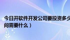 今日开软件开发公司要投资多少（想开一个软件开发公司,请问需要什么）