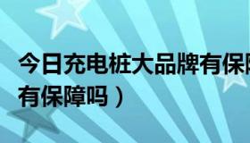 今日充电桩大品牌有保障（伊美施恩这个品牌有保障吗）