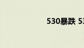 530暴跌 530大跌